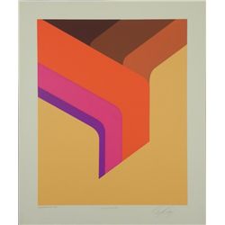 Doug Danz Signed Abstract Proof Print Elevation II