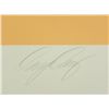 Image 3 : Doug Danz Signed Abstract Proof Print Elevation II
