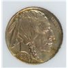 Image 2 : 1919  BUFFALO NICKEL, NNC MS-64  PRETTY COIN