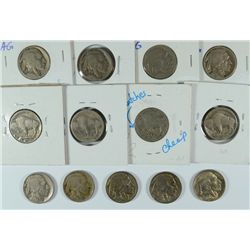 BUFFALO NICKEL DEALERS LOT NICE CIRCS: 1923-S, 1919-S, 1923-S, 1913 T-2, 1916-D,