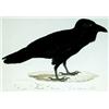 Image 1 : Unknown Artist - Raven 