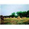 Image 1 : Josef Holub ( 1870-1957 ) - Sheaves in Field