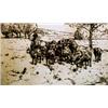 Image 1 : Vojtech Preissig ( 1873-1944 ) - Shepherd with his flock