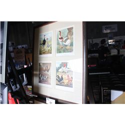 4 POULTRY BOOK CARDS FRAMED ARTWORK