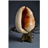 Image 2 : Carved Shell Lamp 7 3/4" tall