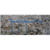 Image 5 : Orginal Artwork titled "Winter Blanket" Signed Randy