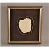 Image 1 : Chinese Fossil in Frame 14" x 12"