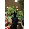 Image 1 : SHOWHOME BLACK VASE W FOLIAGE