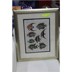 SHOWHOME FRAMED FISH PICTURE