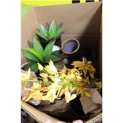 BOX OF SHOWHOME MISC PILLOWS AND ORNAMENTS ON