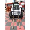 Image 1 : 2008 BOBCAT S250