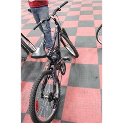 RALEIGH 21 SPEED FULL SUSPENSION MOUNTAIN BIKE