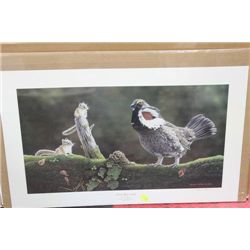 FRONT ROW SEATS BY GLENN OLSEN LTD ED SIGNED