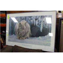 DOZING LYNX BY ROBERT BATEMAN FRAMED PRINT