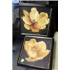 Image 1 : PAIR OF SHOWHOME FLORAL PICTURES