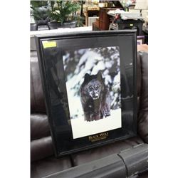 BLACK WOLF FRAMED PICTURE