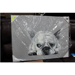 DOG CANVAS PICTURE