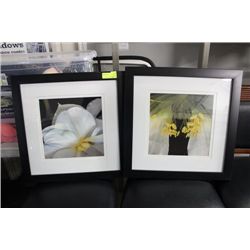 PAIR OF SHOWHOME FRAMED PICTURES