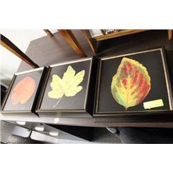 3 PC SHOWHOME LEAF PICTURE SET