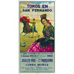 TOROS EN SAN FERNANDO....