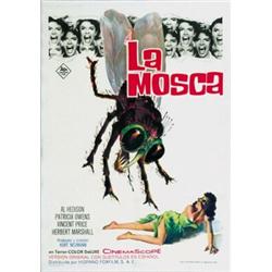 LA MOSCA....