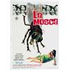 Image 1 : LA MOSCA....