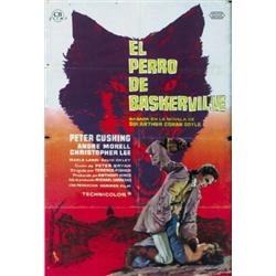 EL PERRO DE BASKERVILLE....