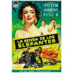 LA SENDA DE LOS ELEFANTES....