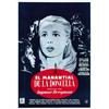Image 1 : EL MANANTIAL DE LA DONCELLA....