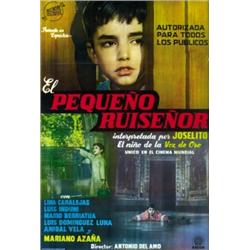 EL PEQUEÑO RUISEÑOR....
