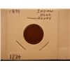 Image 1 : 1899 Indian Head Cent