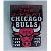 Image 3 : 4 Pc Lot Chi Bull Starter Pullover Mug Air Time VHS Pin
