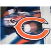 Image 2 : Bears Football 2005 Chicago Schedule 6 Ft Vinyl Banner