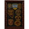 Image 1 : Collection Of 8 Casino Security Patches In Frame.