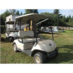 2007 Yamaha Golf Cart
