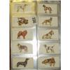 Image 1 : SET OF FIFTY JOHN PLAYER CIGARETTE CARDS 