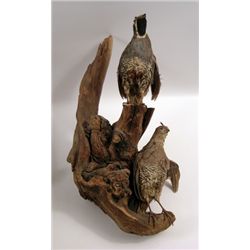 Dallas (1978) Taxidermy Quail Display Prop