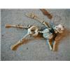 Image 1 : A Group of Various Pelham Puppets, including a skeleton (a.f.)  £60 100...