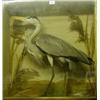 Image 1 : Taxidermy: A heron, in a glazed case, 71 cm  £200-250...