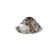 Image 3 : Hand crafted silver ear clips with golden inlay, 20th Century