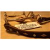 Image 10 : Fleming Bit and Headstall