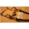 Image 2 : Fleming Bit and Headstall