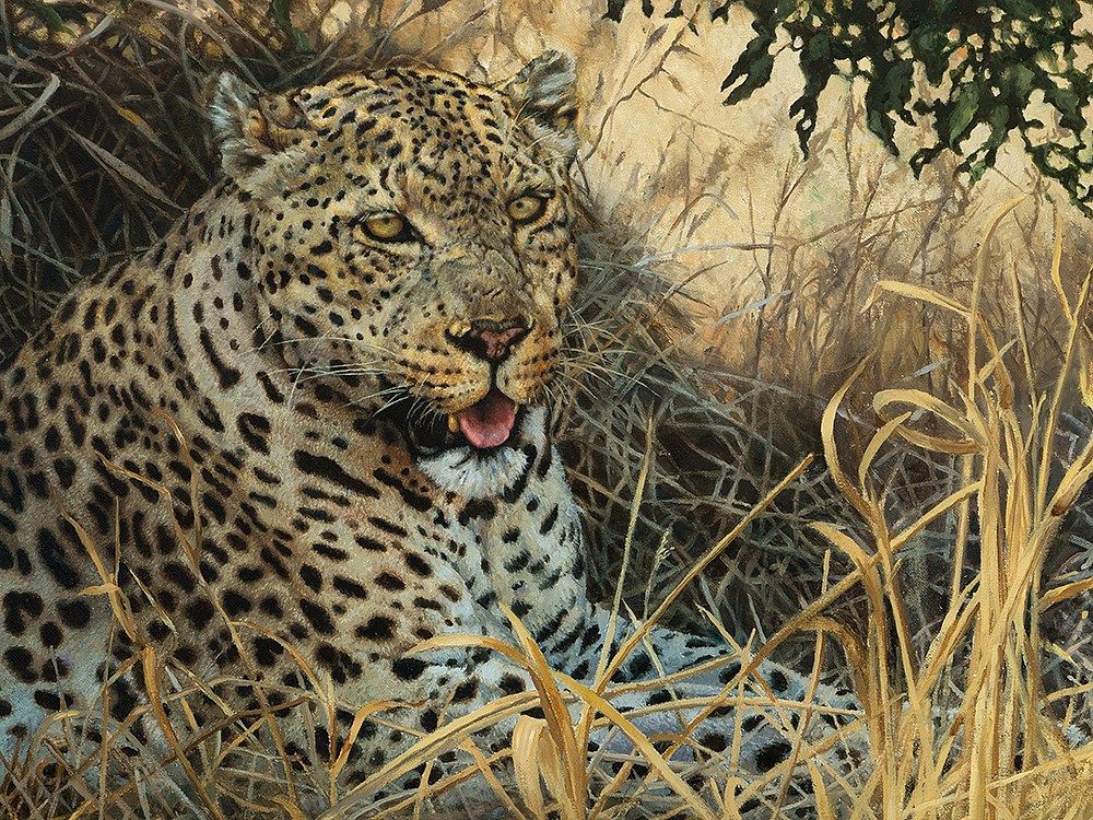 Willem Sternberg De Beer Oil Painting Leopard Around 2000