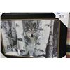 Image 2 : "WOLF IN THE WOODS"  FRAMED PRINT