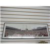 Image 2 : Ohio State Home Game Framed Photo