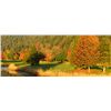 Image 1 : GOLDEN EAGLE GOLF COURSE(PITT MEADOWS) OR THE FALLS GOLF COURSE(CHILLIWACK)