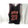 Image 3 : CHAMPIAN CHICAGO BULLS JERSEY REVERSABLE JORDAN