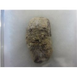 Coprolite gemstone (dinosaur feces)