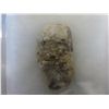 Image 1 : Coprolite gemstone (dinosaur feces)