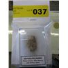 Image 2 : Coprolite gemstone (dinosaur feces)